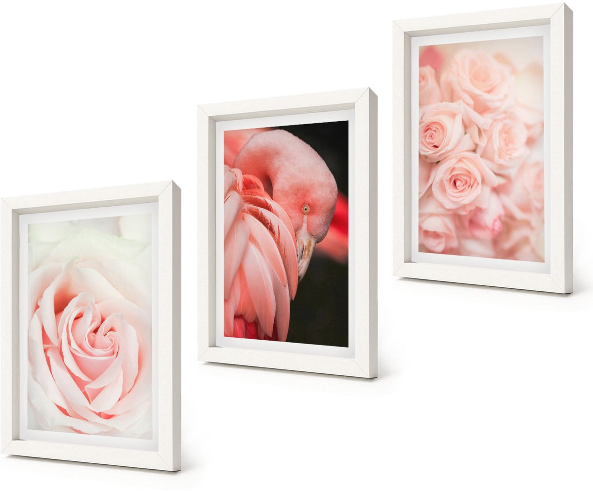 Coloray 3-Delige Schilderij Set - Pastelrozen en flamingo's in delicate tinten - 20x30 - Decoratieve Schilderijen - Wanddecoratie - Hal