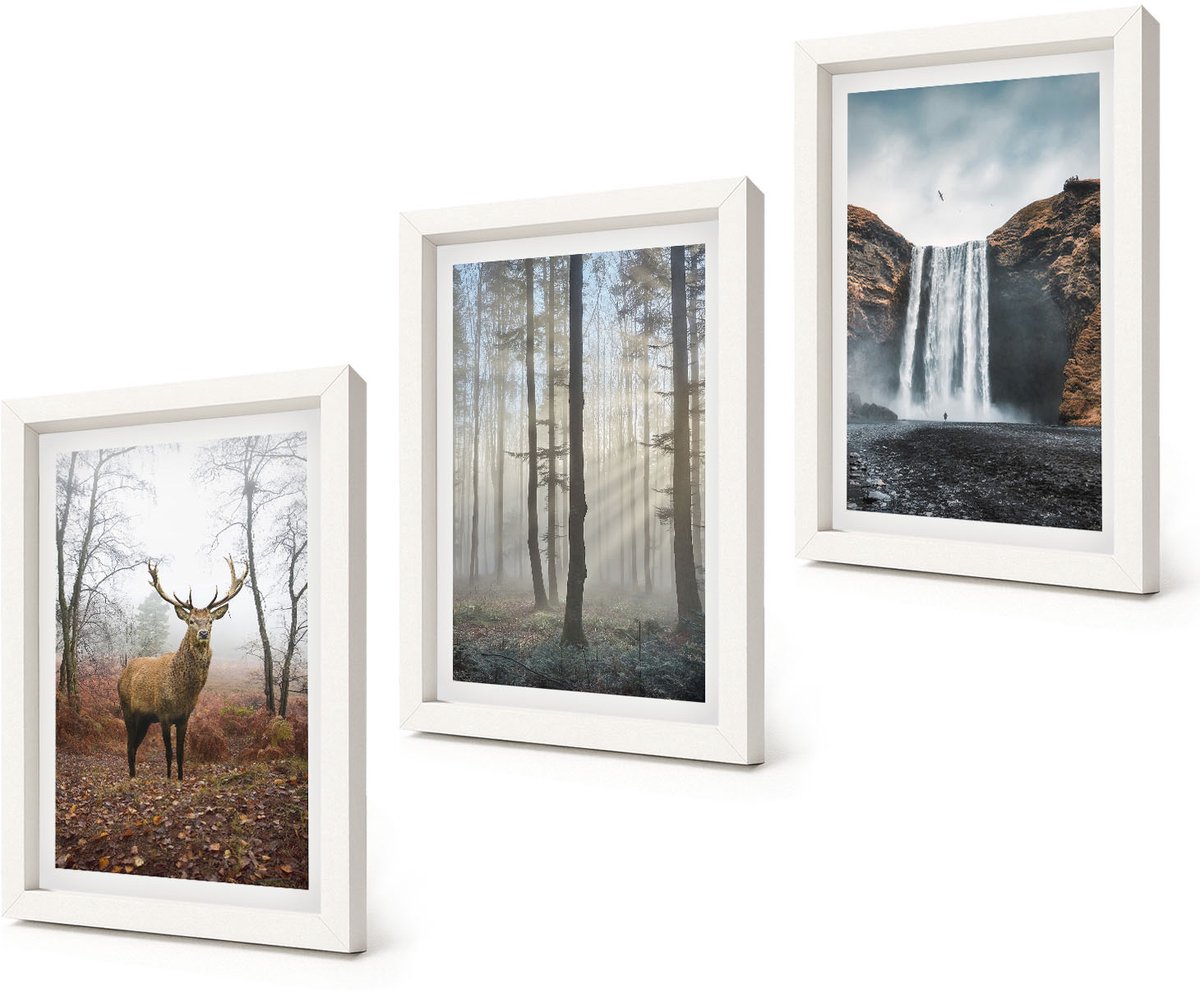 Coloray 3-Delige Schilderij Set - Boslandschappen Wilde natuur Herten - 20x30 - Schilderijen Set - Wanddecoratie - Woonkamer - Moderne Wanddecoratie