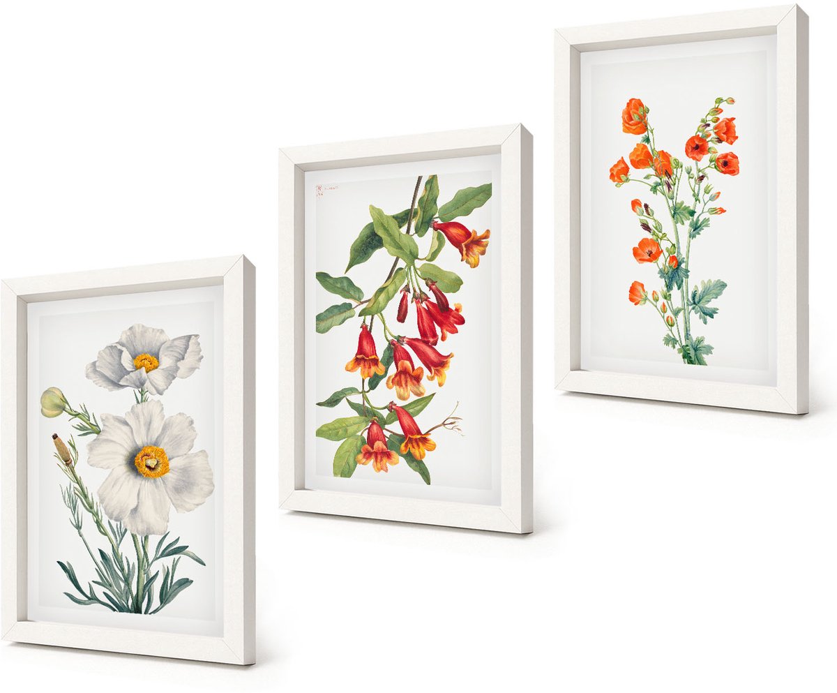Coloray 3-Delige Schilderij Set - Bloemcomposities Retro Vintage Schilderij - 20x30 - Wanddecoratie - Schilderijen Set - Interieur - Decoratieve Schilderijen