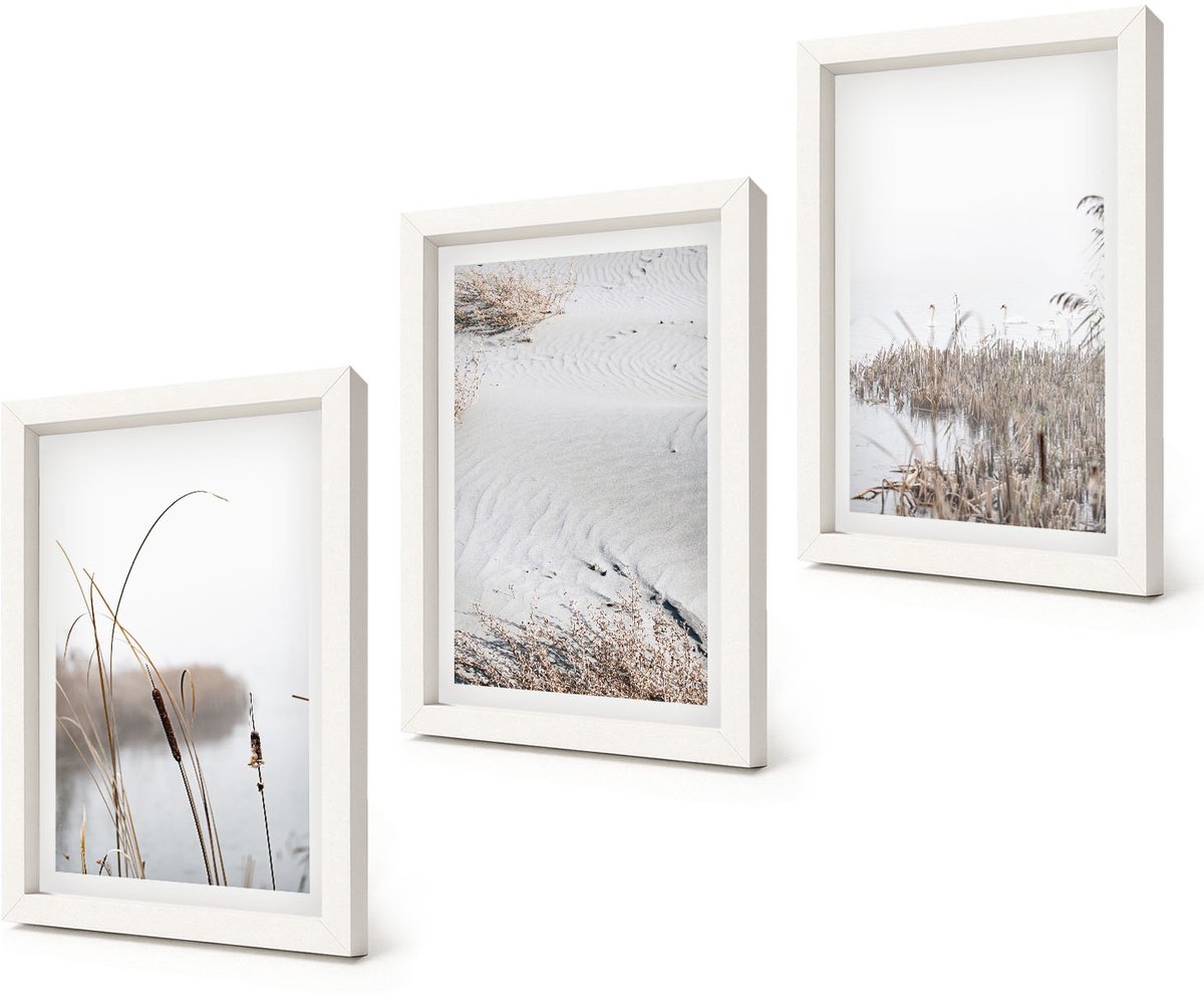 Coloray 3-Delige Schilderij Set - Waterplanten, delicate zomergezichten - 20x30 - Stijlvolle Muurdecoratie - Kantoor - Woonkamer Decoratie