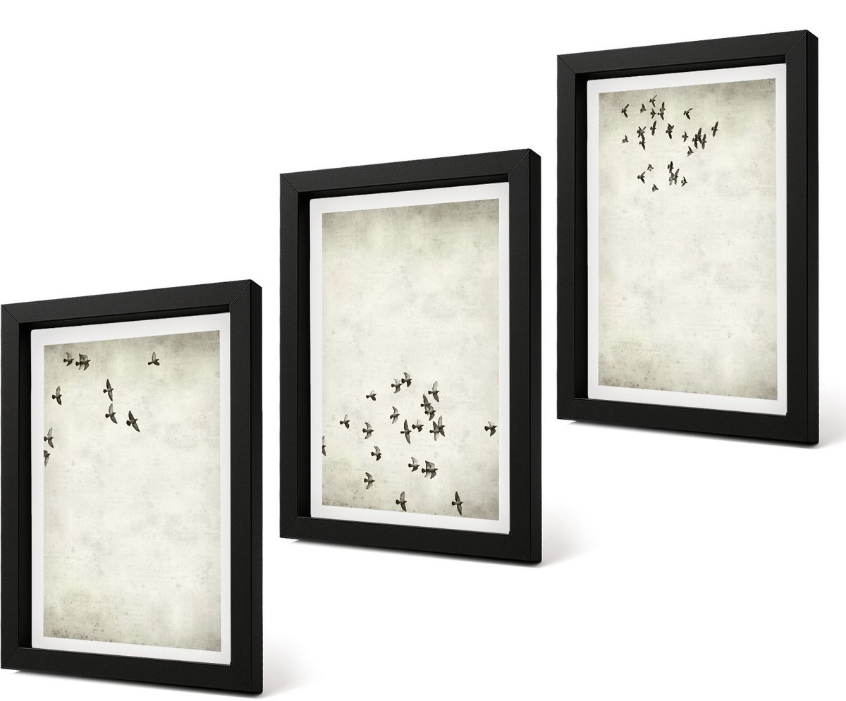 Coloray 4-Delige Schilderij Set - Minimalistisch schilderij van vliegende vogels - 20 x 30 cm - Moderne Wanddecoratie - Slaapkamer - Stijlvolle Muurdecoratie