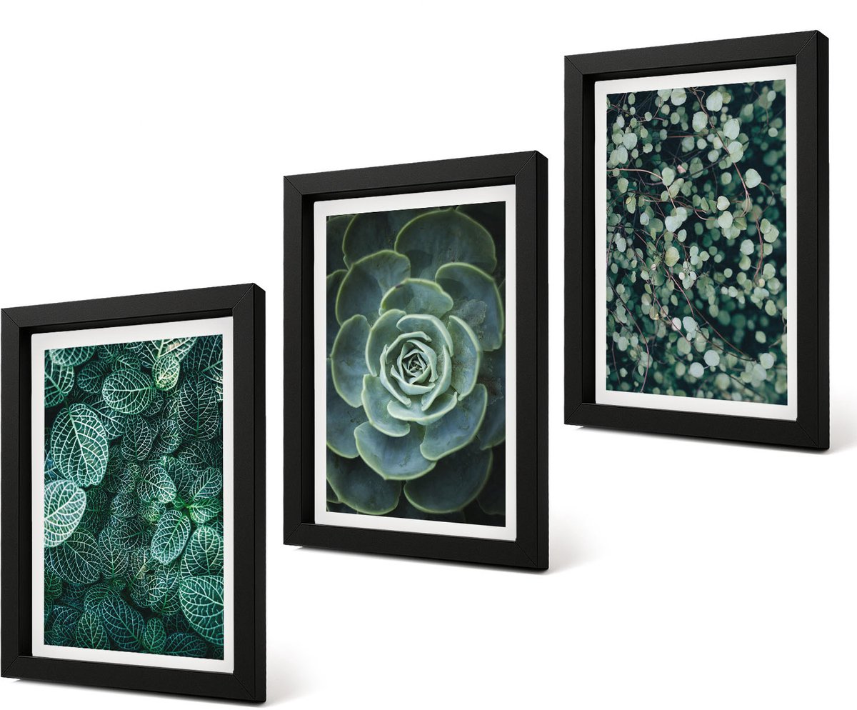 Coloray 4-Delige Schilderij Set - Groene bladeren van vetplanten en tere takjes - 20 x 30 cm - Muurdecoratie - Wanddecoratie - Hal - Woonkamer Decoratie