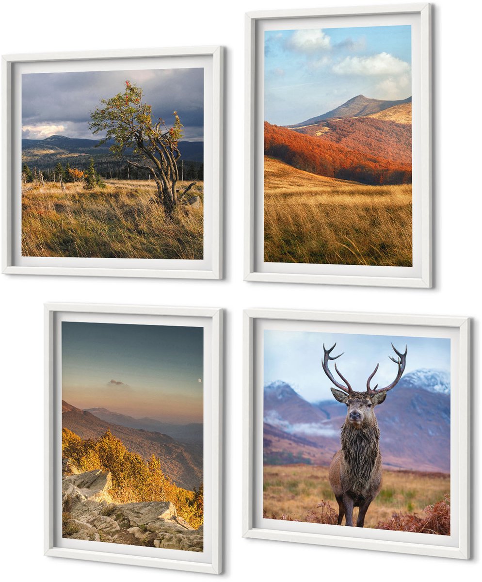 Coloray 4-Delige Schilderij Set - Berglandschappen Natuur Bergen Herten Grassen Open Plekken - 40 x 40 En 40 x 60 - Decoratieve Schilderijen - Woonkamer - Interieur - Woonkamer Decoratie