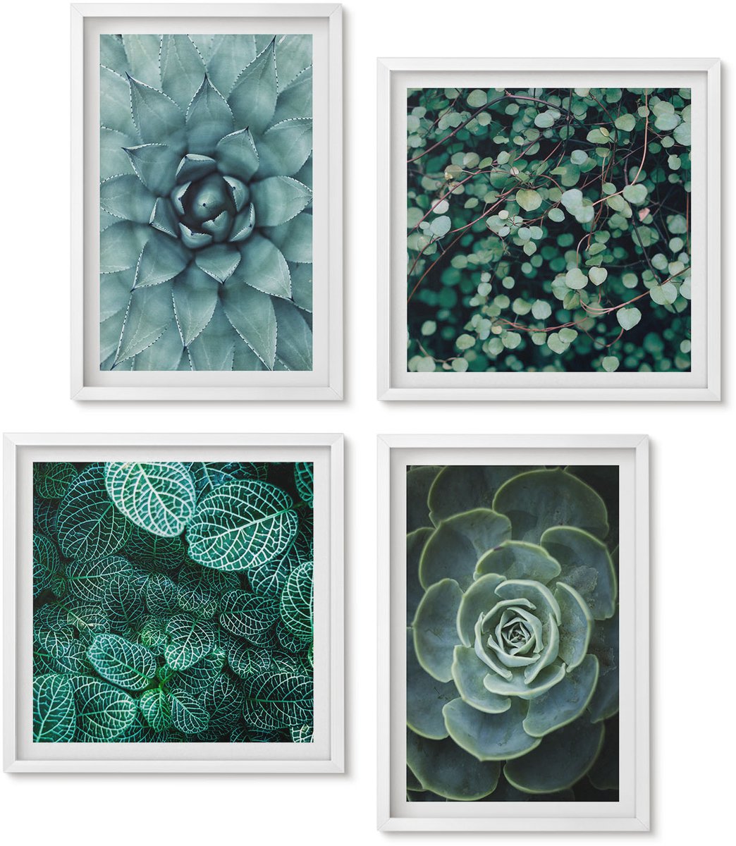 Wallfluent 4-Delige Schilderij Set - Vetplanten In Groene En Turquoise Tinten. - 40 x 40 En 40 x 60 - Decoratieve Schilderijen - Woonkamer - Interieur - Woonkamer Decoratie