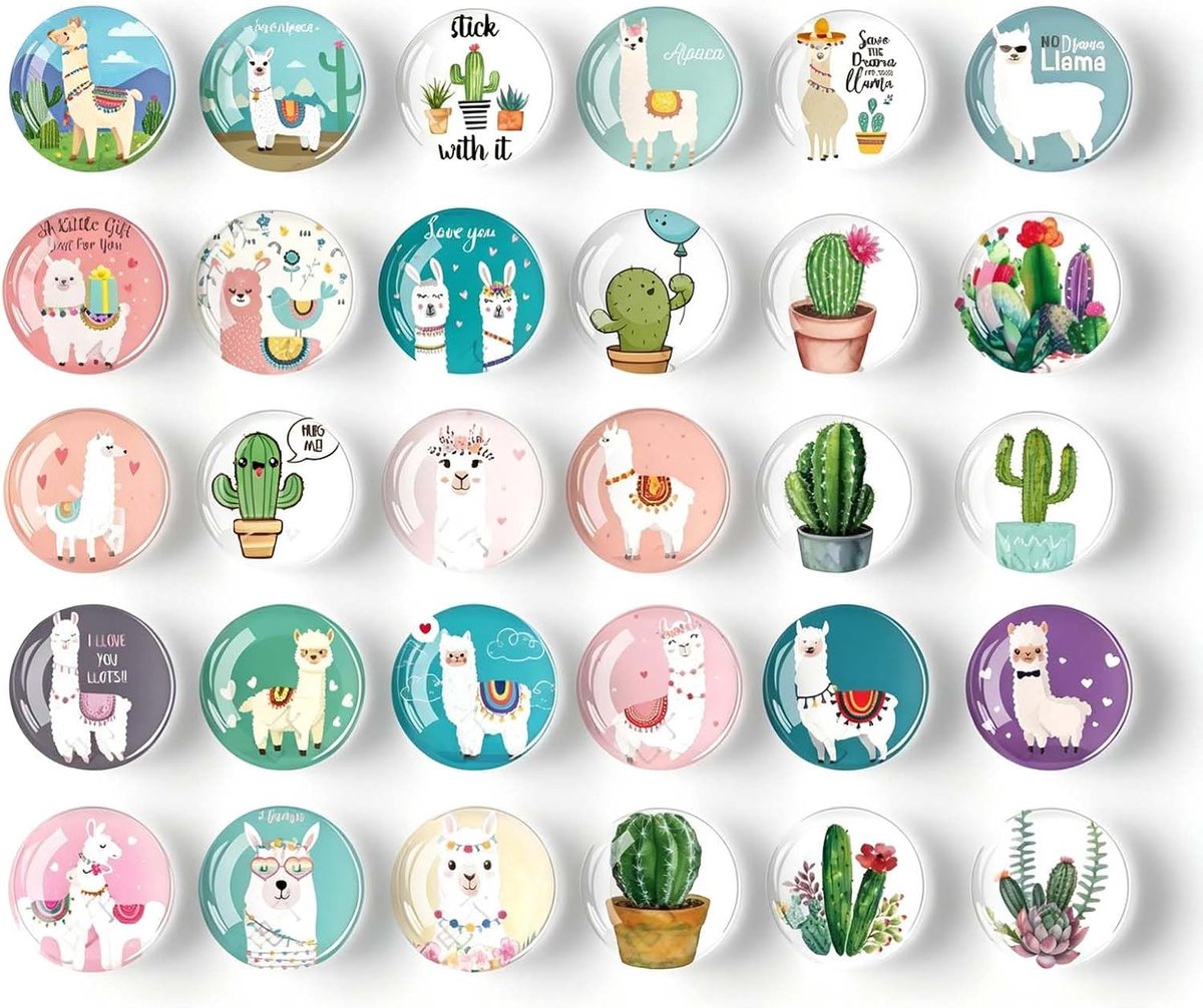 Koelkastmagneet set 30-delig - 3D hars - alpaca en cactus - vrolijke decoratie - ShopVlot