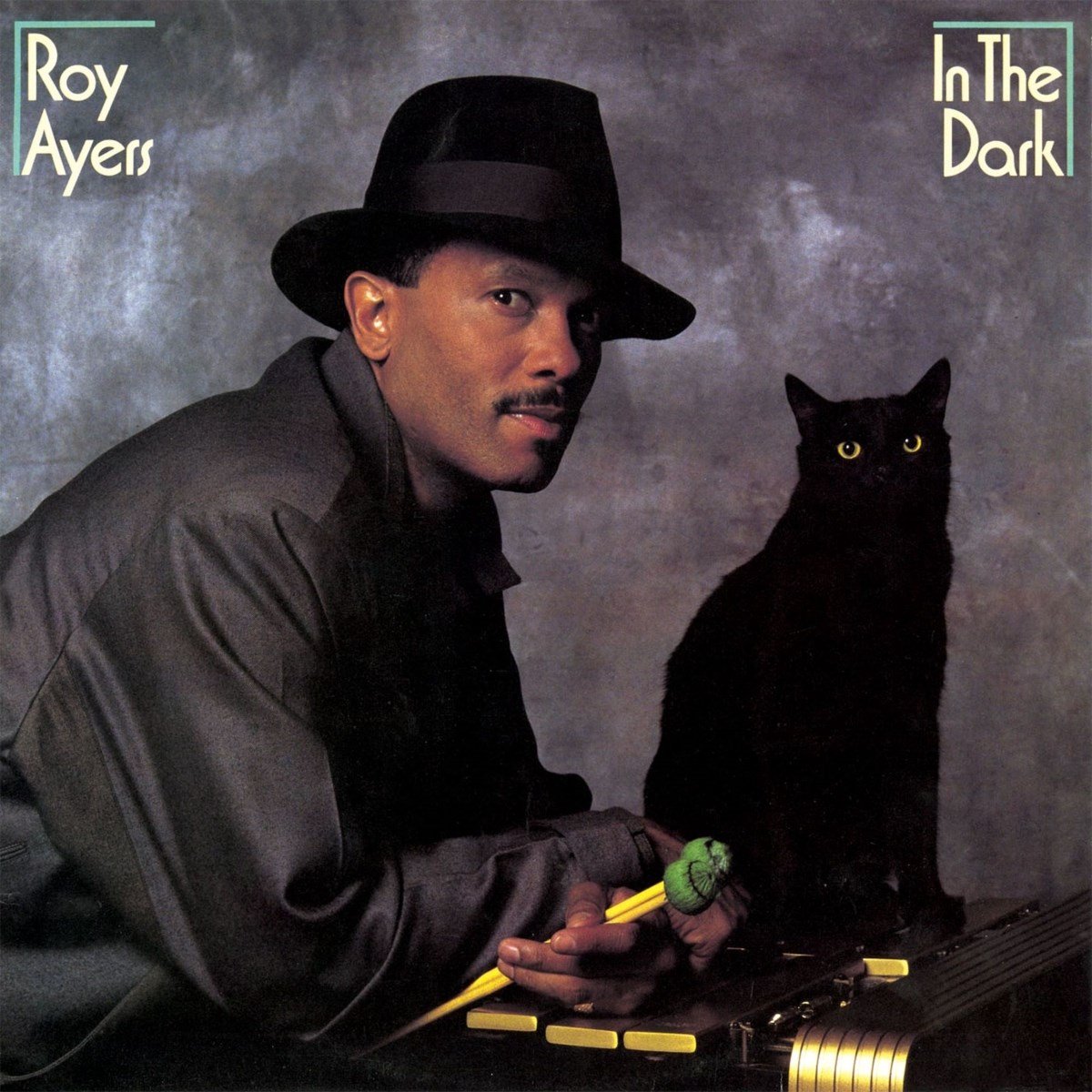 Roy Ayers - In The Dark (CD) (Reissue)