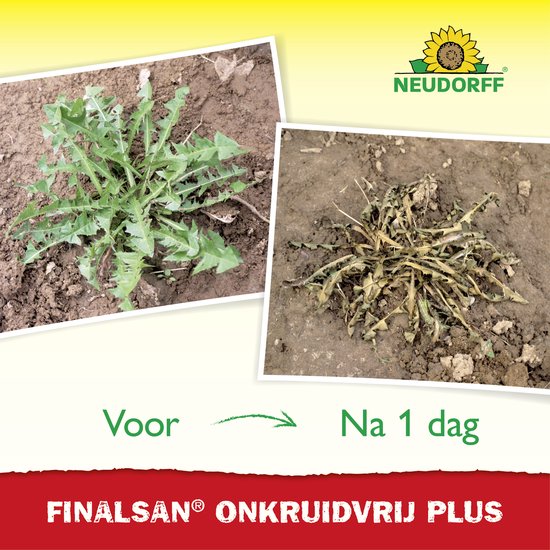 Neudorff Finalsan Onkruidvrij Plus - 500ml Onkruidbestrijding Concentraat voor maximal 90 m² - Onkruidverdelger tegen onkruid, zevenblad, mos en algen - Onkruidbestrijdingsmiddel voor gazon van Merkloos	 — afbeelding 4