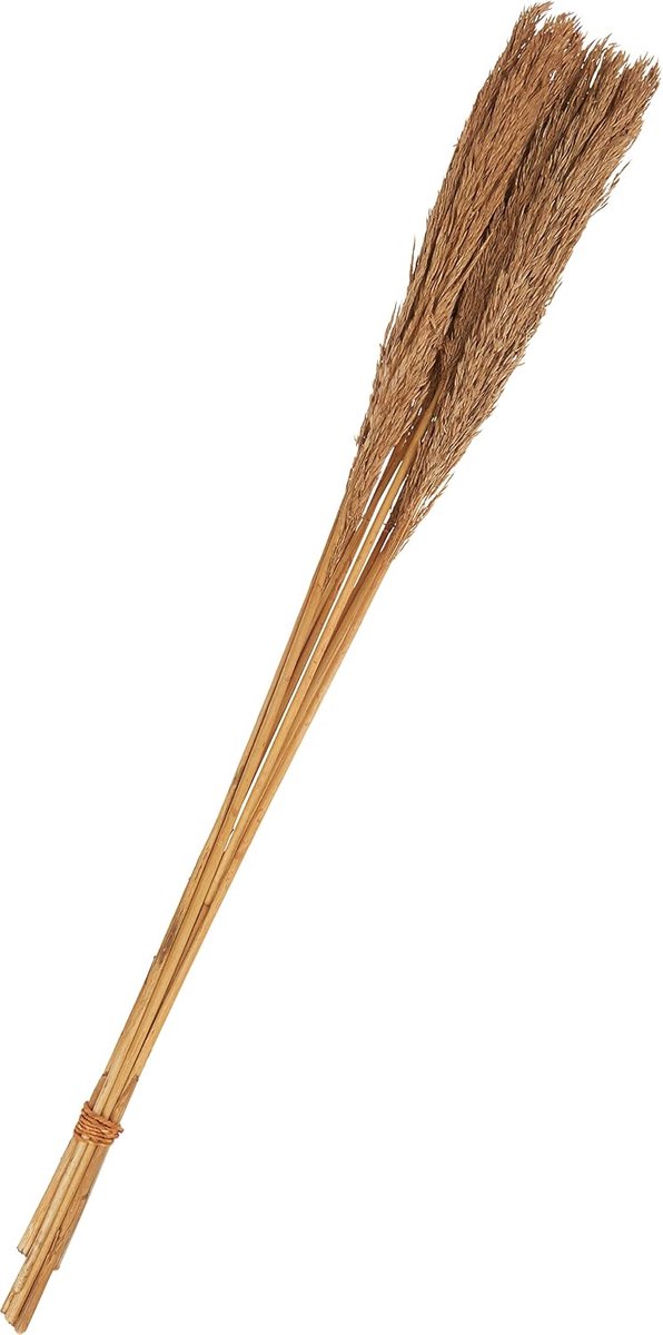 Gedroogde bloemen - Natuurlijke decoratie - Bloemstukken maken - Lange stelen - 80 cm - Br