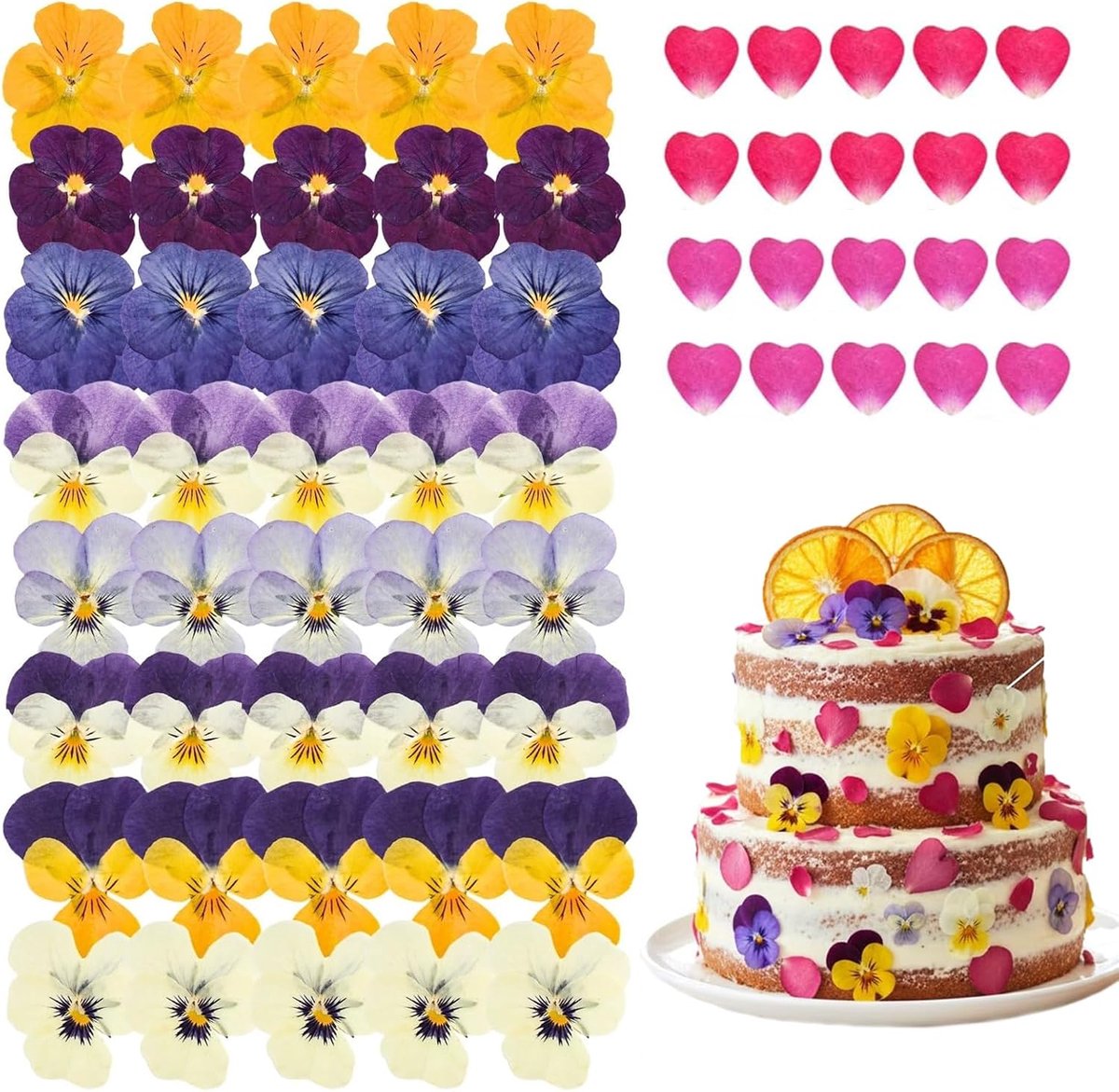 Eetbare bloemen 64 stuks - gedroogde en geperste bloemen - kleurrijke decoratie - voor taarten en cocktails - ShopVlot