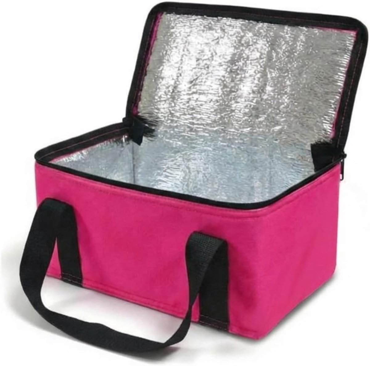 SnelShoppen - 9.5 Litre Koeltas - Vouwbare Koeltas voor Picknick, Strand, Camping - Lichtgewicht - 100% Polyester met Thermische Binnenvoering - 30 x