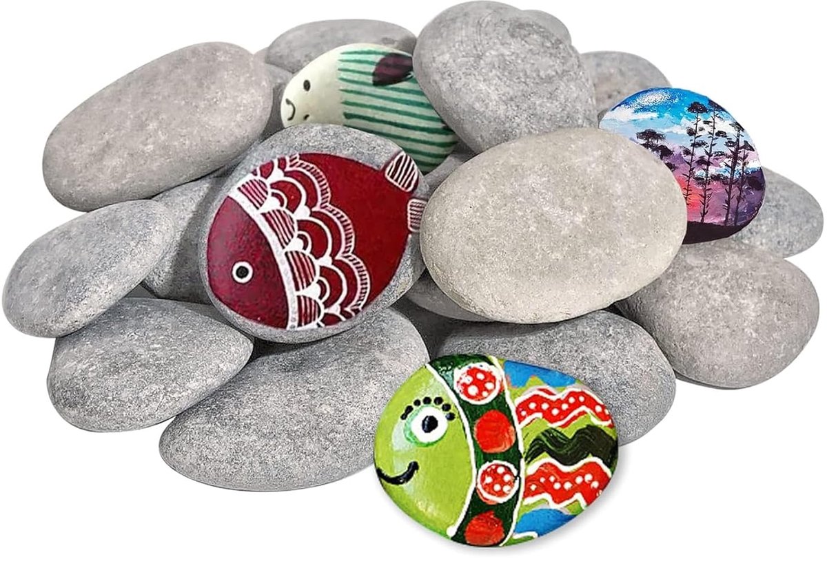 Schilderstenen voor het aquarium - 20 stuks decoratieve stenen - natuurlijke vlakke vorm - SnelShoppen