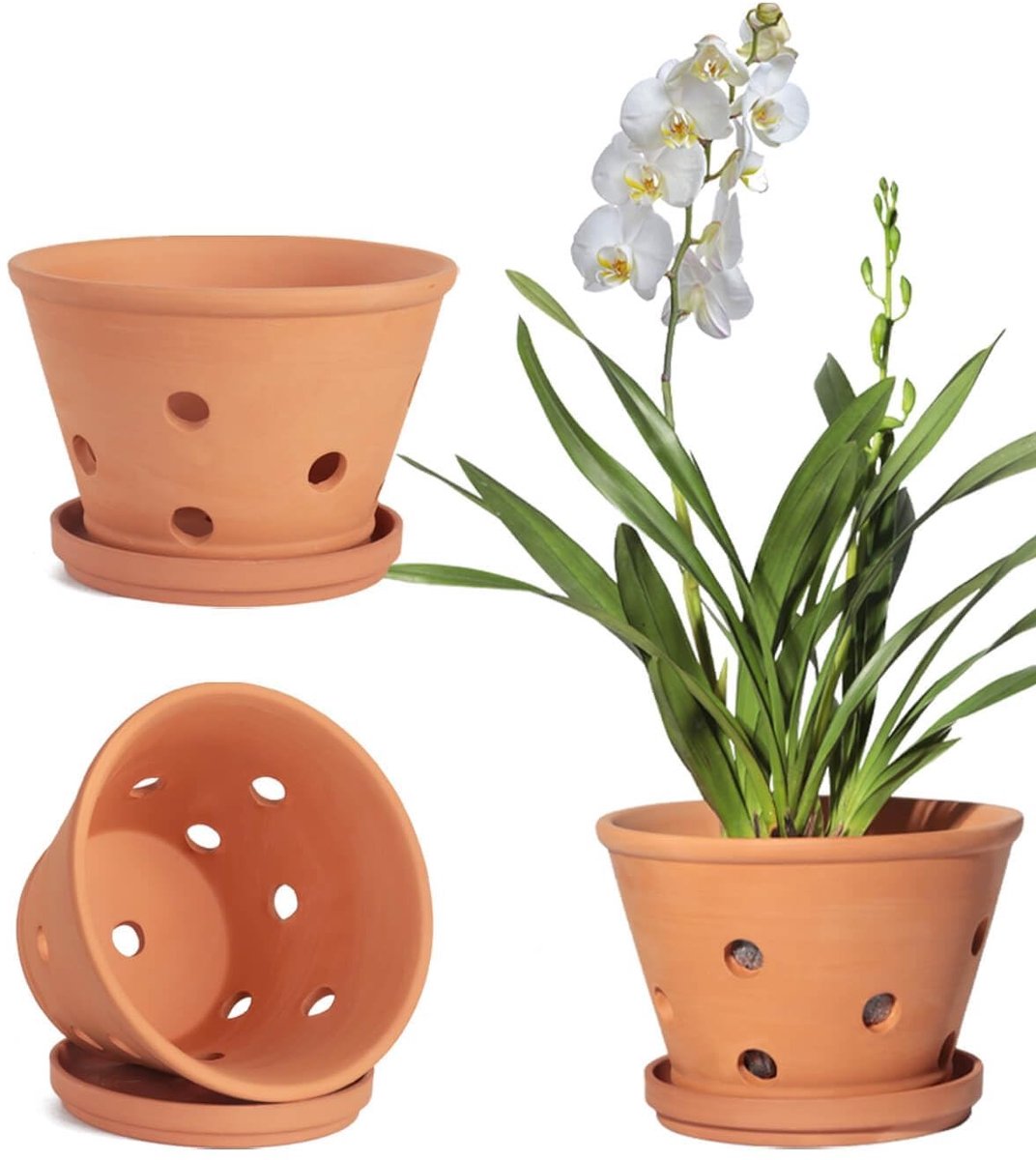 Omgoods - Terracotta Orchidee Potten met Gaten en Schotels, 15cm