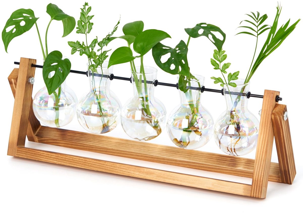 Omgoods- Propagation Station Vintage 5 Glazen Ballen - Houten Standaard - Plantenterrarium - Hydrocultuur Vazen - Kleine Vazen - Perfecte Grootte 5,5"/15" & 4,7"/16 - Plantenvaas