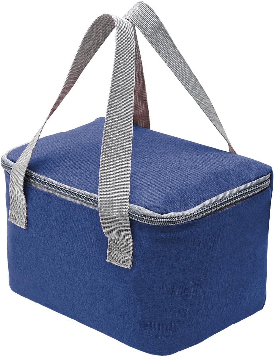 Omgoods - Mini Koeltas van 4 Liter voor Lunch en Picknick