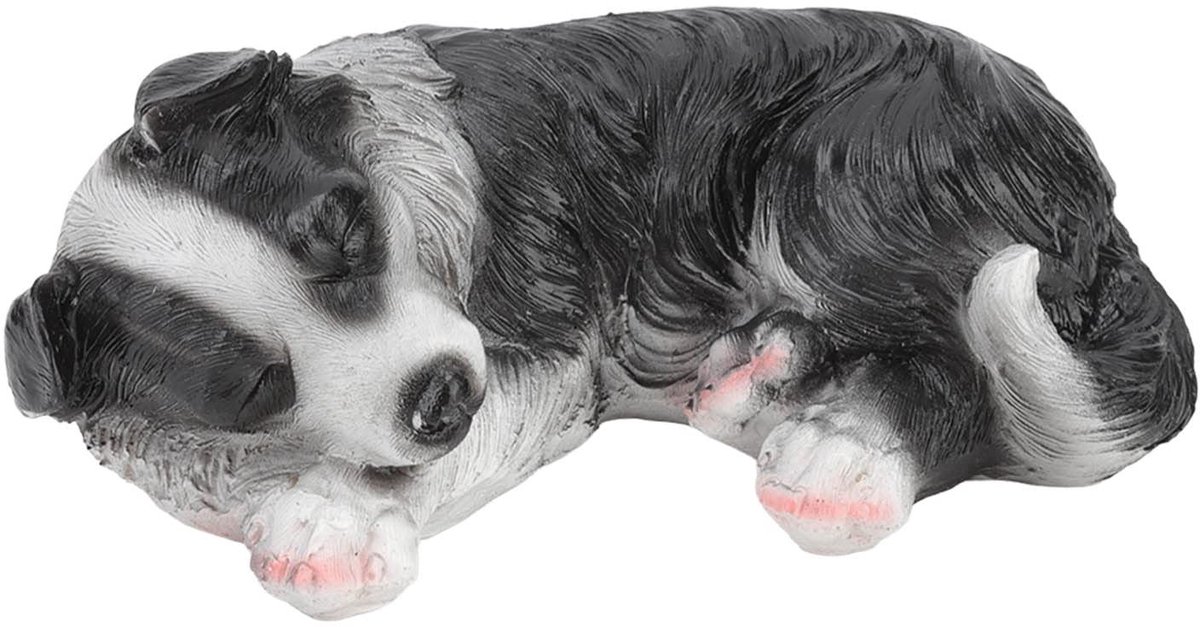 Omgoods- Standbeeld Schattige Border Collie Puppy - Tuinbeelden voor Buiten - Waterdicht - Decoratie - Weerbestendig - Fijn Vakmanschap - Tuindecoratie