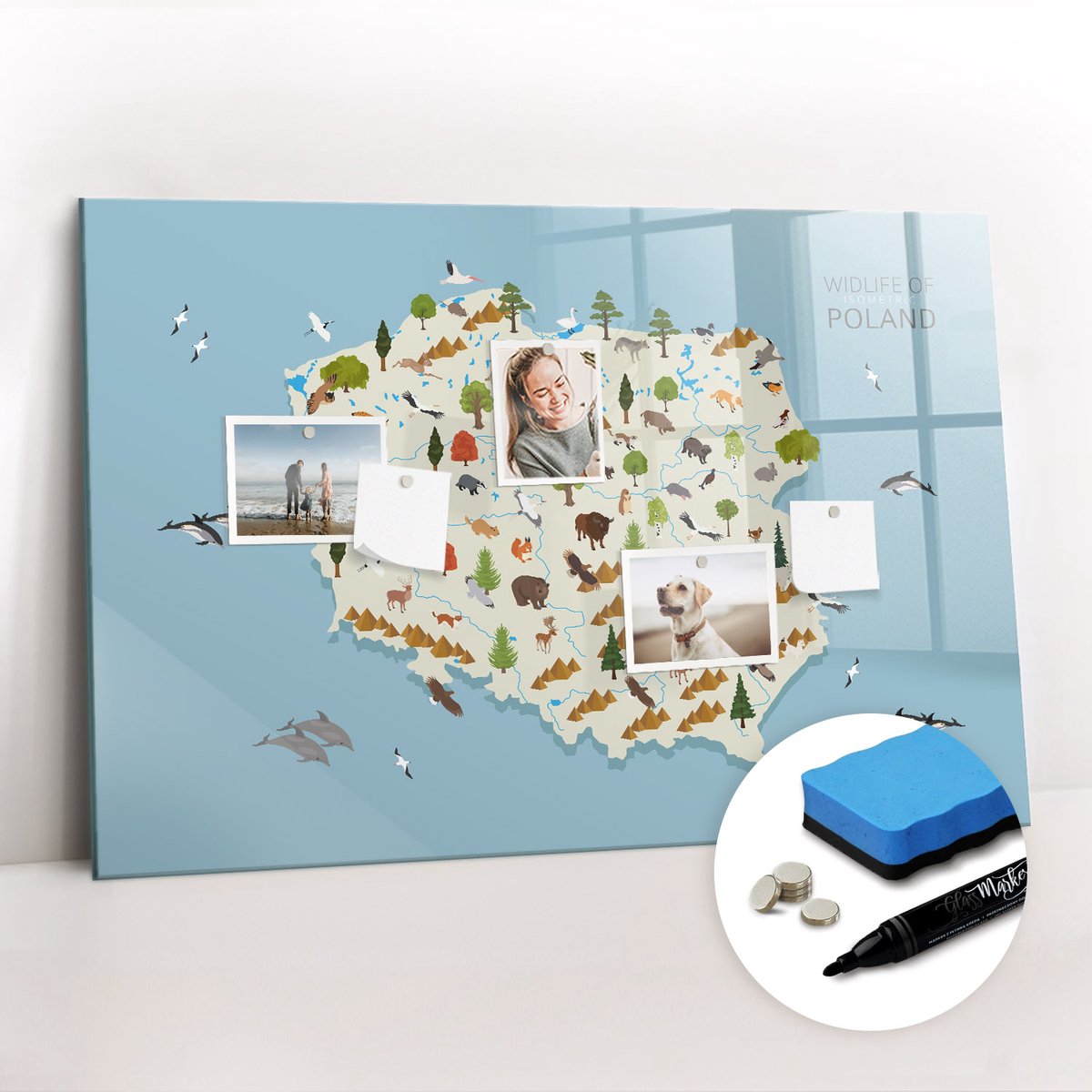 Tulup Whitebord - Poolse dierenkaart - 90 x 60 cm - Veelkleurig Magneetbord Keuken - Gratis 5 Sterke Magneten + Whiteboard Marker & Wisser - Design Memobord - Magneetbord Muur - Ideeënbord Thuiswerkplek