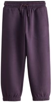 Next - Jongens - Joggingbroek met standaard pasvorm - Paars