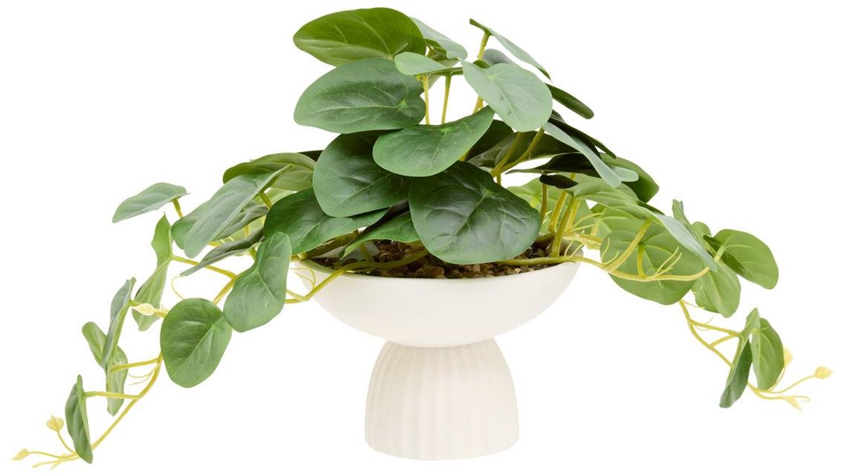 Atmosphera Créateur d'intérieur® Kunstplant Nippo H. 29 cm wit Blanc