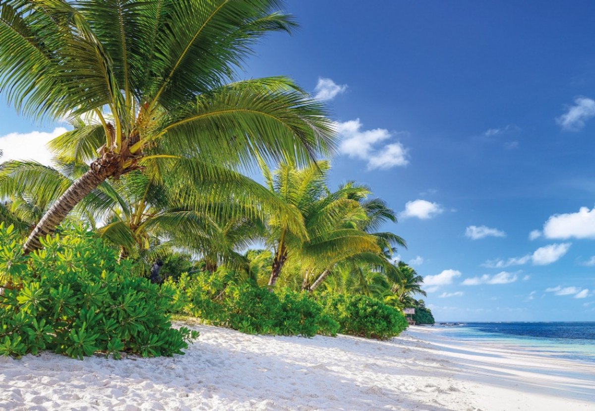 Fotobehang Reunion - Tropisch Strand behang - 368 x 254 cm – Witte Palmbomen – Zeezicht – Paradijs – Bohemian – Komar