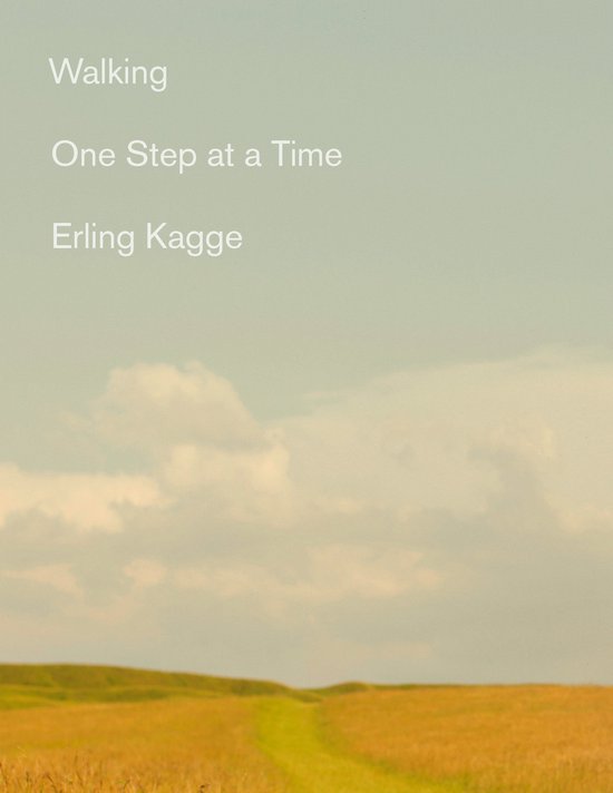Walking One Step at a Time - cover