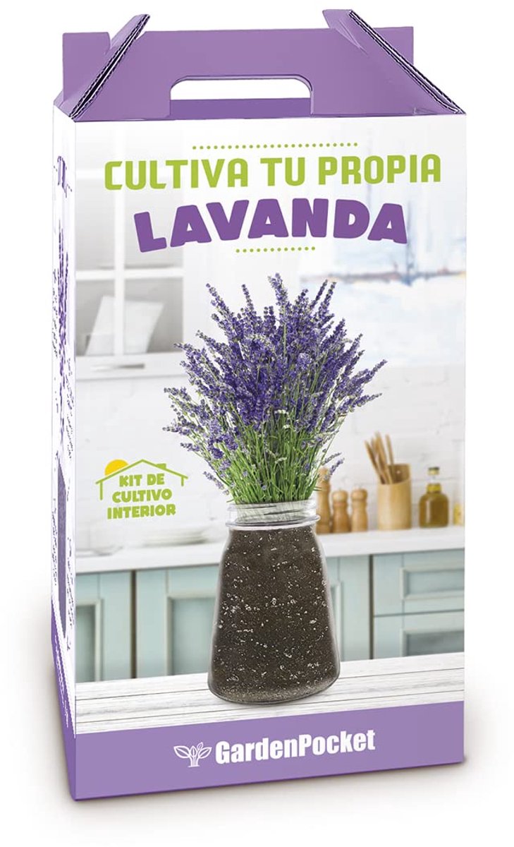 SnelShoppen - Kweekset Aromatische Lavendel - Tuinplant, Zaden, Kruid, DIY, 10 Stuks, Geschikt voor Binnen en Buiten, Perfect voor Keuken en Tuin
