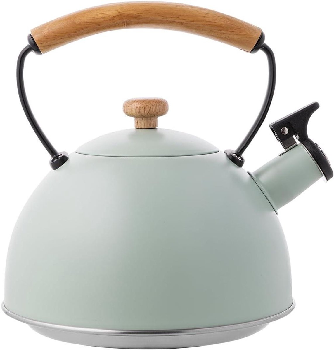 Waterkoker - Theeketel Fluitketel - Water Koken - Roestvrij Staal - 23 Liter - Mint