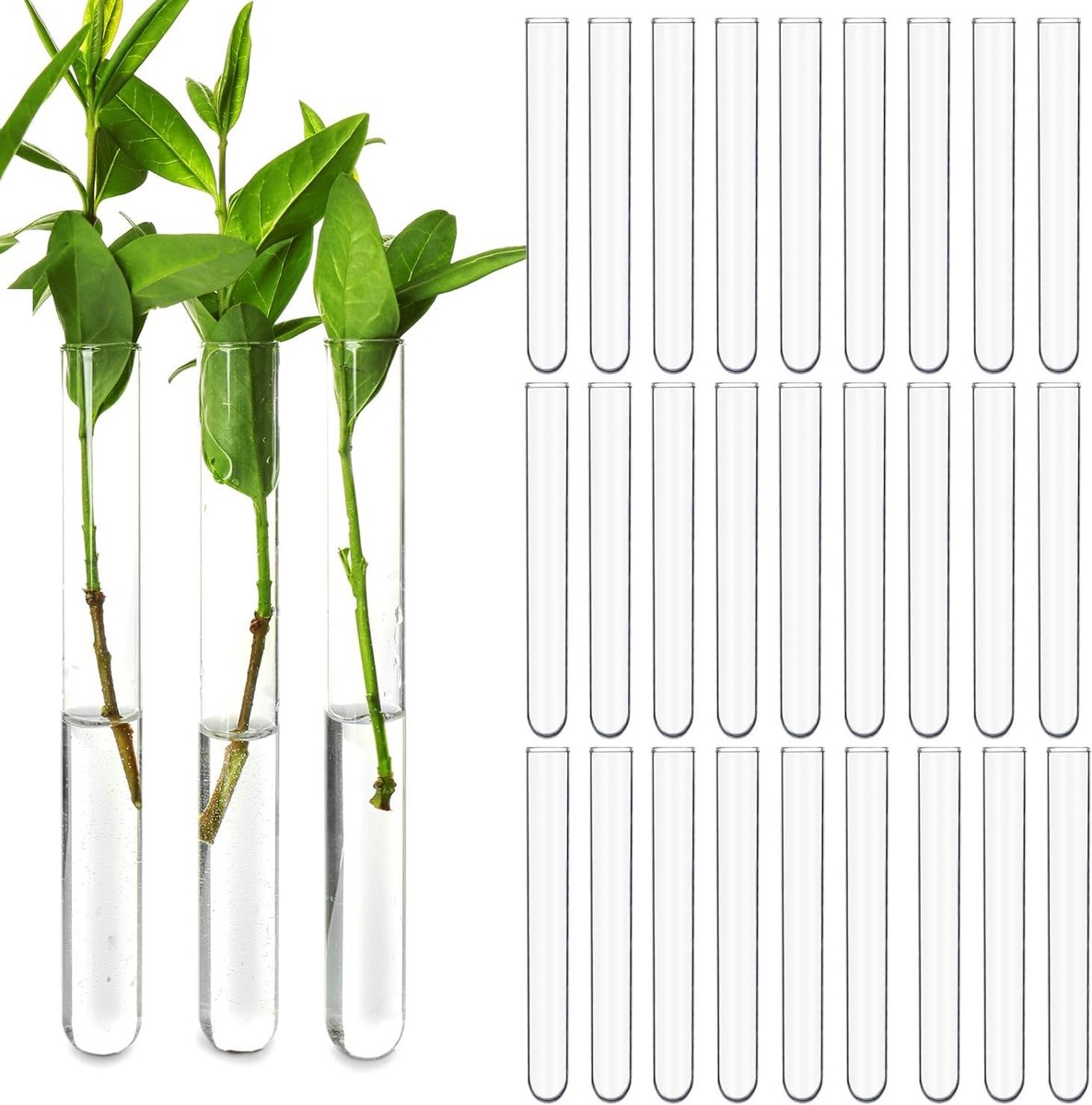 Set van 30 heldere plastic plantpropagatie testbuizen van 15ml voor hydroponische toepassingen, wanddecoratie en experimenten (16cm, 1.5cm diameter)