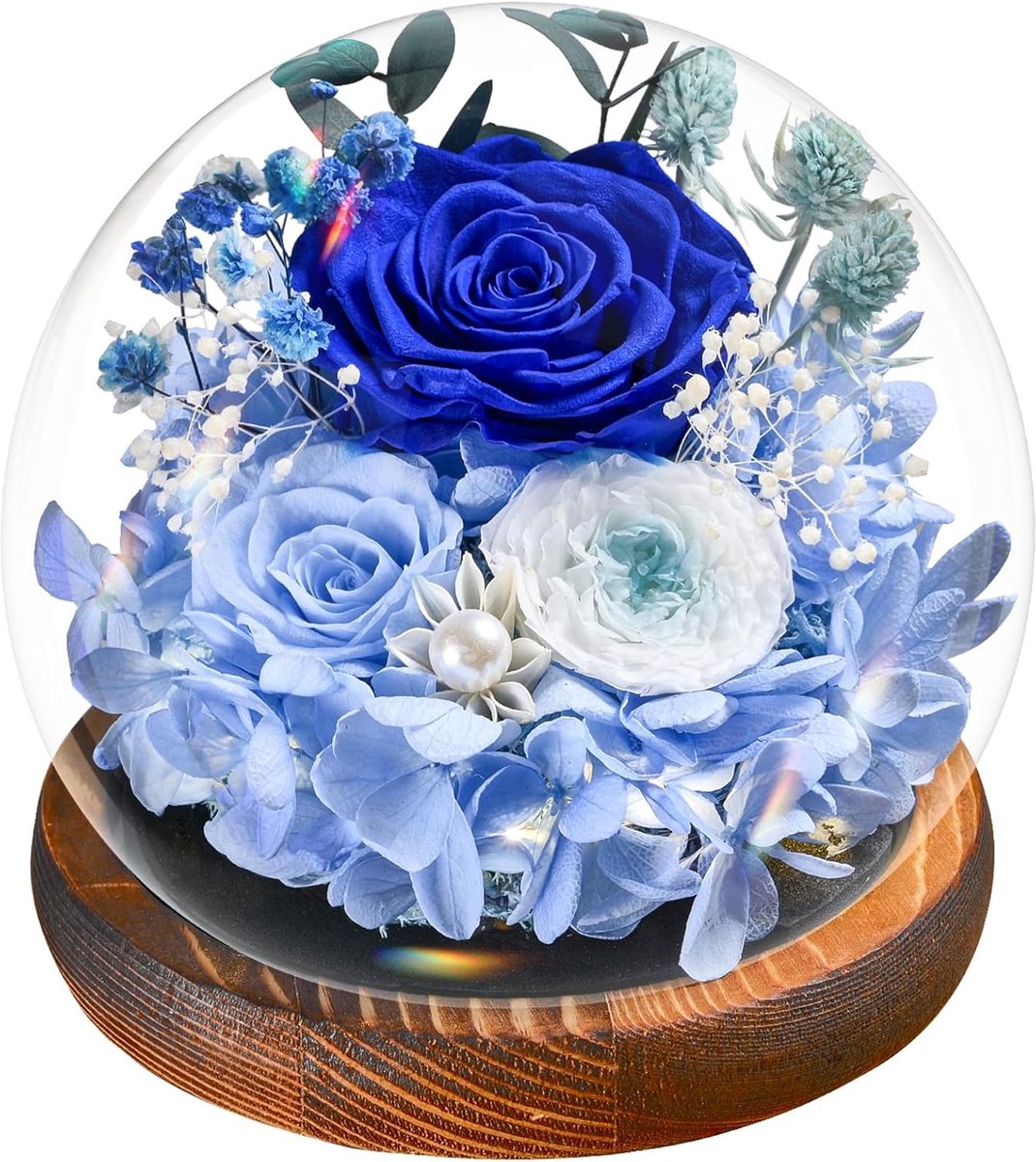 eeuwige roos, roos onder bel, natuurlijke geconserveerde bloem met ledlicht, basis van grenenhout en wenskaart, cadeau voor dames, moeder voor Valentijnsdag, Moederdag, verjaardag