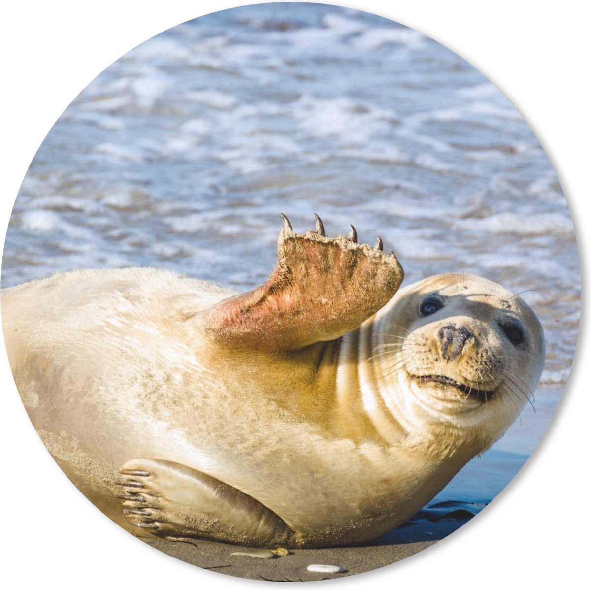 Muismat rond 20x20 cm - Mousepad Zeehond - Grappig - Zwaaien - Kinderen - Jongens - Meisjes - Kindje - Ronde muismatten