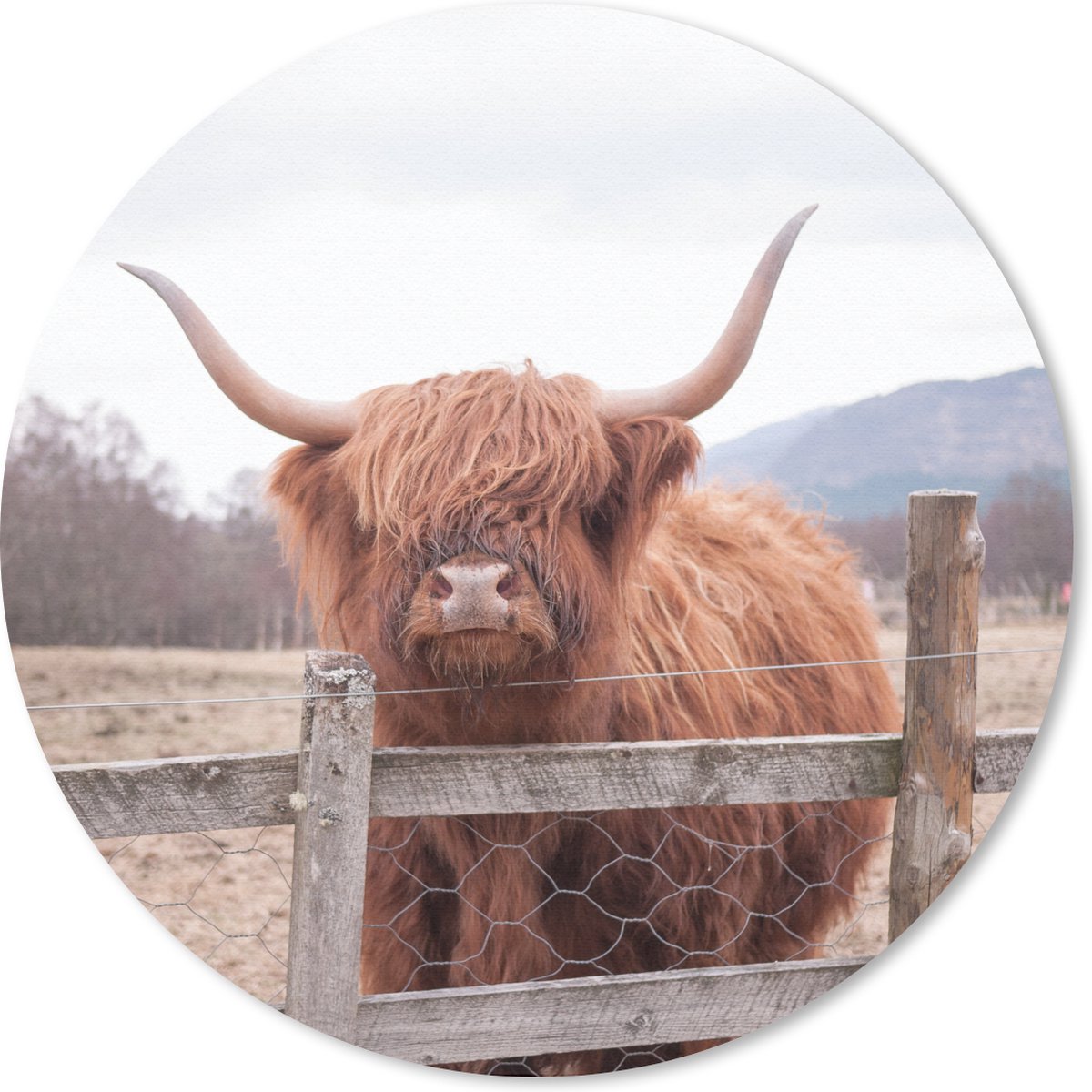 Muismat rond 20x20 cm - Mousepad Schotse Hooglander - Gras - Hek - Ronde muismatten