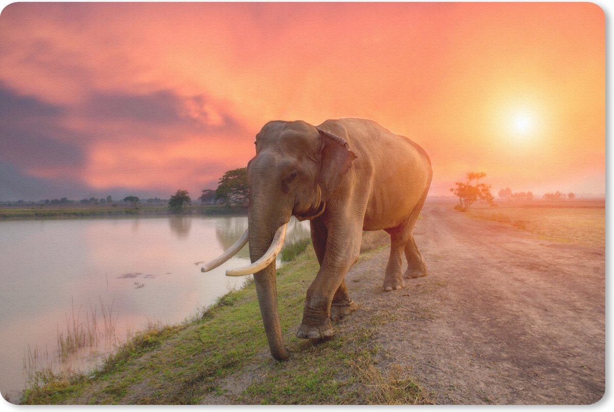 Muismat Olifanten - Olifant loopt richting het meer muismat rubber - 27x18 cm - Muismat met foto
