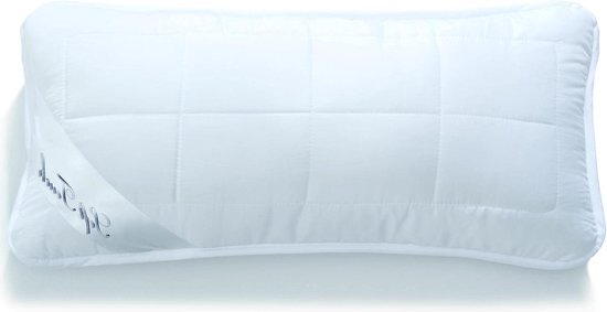 vidaXL Hoofdkussen met kussen 2 pcs Wit 50 x 75 cm Veren