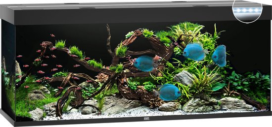Juwel Aquarium Rio 450 Led - 151x51x66 cm - Zwart - 450 L