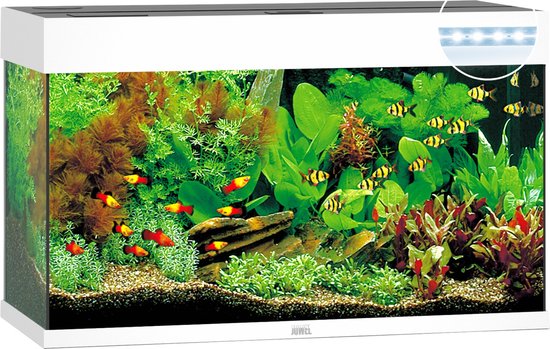 Juwel Aquarium Rio 125 Led 80x35x50 cm - Aquaria - Wit Ca. 125 L