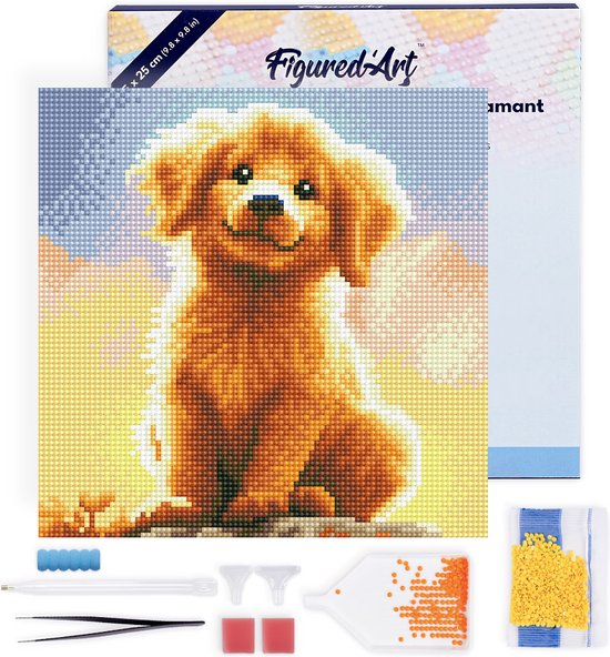 Figured' Art Mini Kit de Peinture de diamants Adultes 25x25 cm avec Cadre Chiot Golden Retriever Mignon - 5D DIY Art Diamant Rond Foret Complet - Toile déjà encadrée