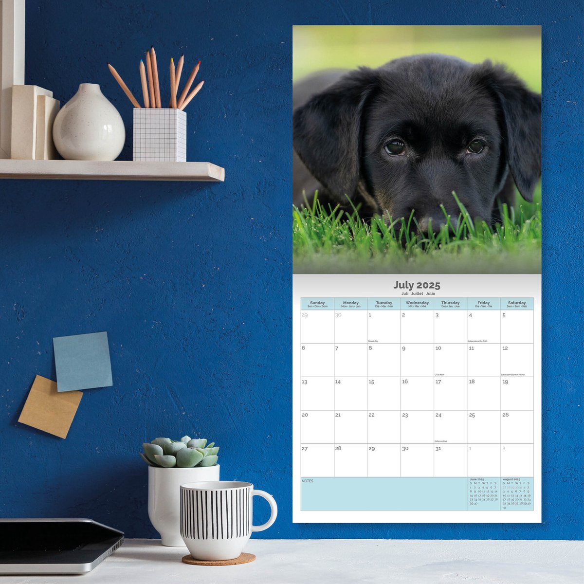 Calendrier Mural 2025 "Dogs Pooping In Beautiful Places" - 28,5x21 Cm, Espaces Notes, Cadeau Humour