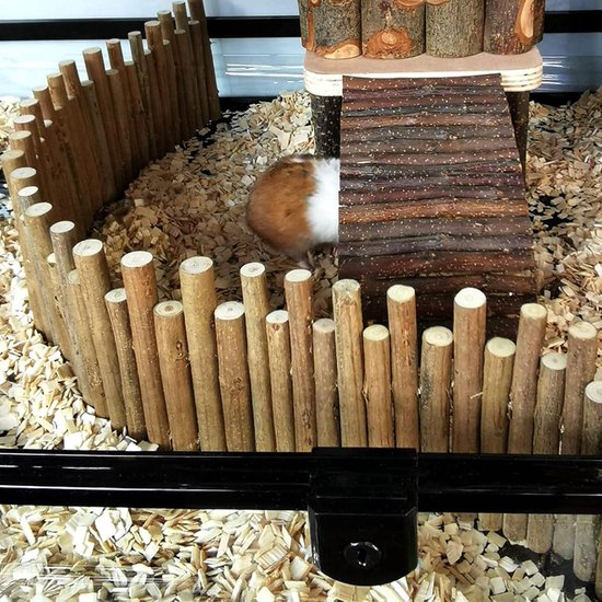Hamsterhuis, houten verstopplaats met ladder, doe-het-zelf speelgoed, kooi, decoratie, accessoires voor zeevarken, dwerghamsters, goudhamsters en