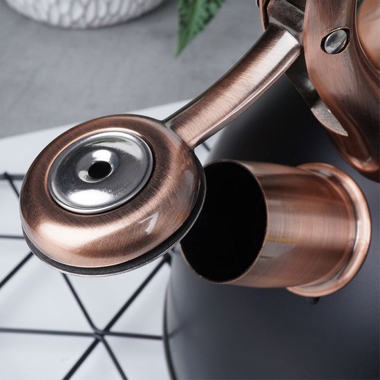 Bouilloire sifflante en acier inoxydable Zwart 3 l - Bouilloire avec sifflet - Bouilloire