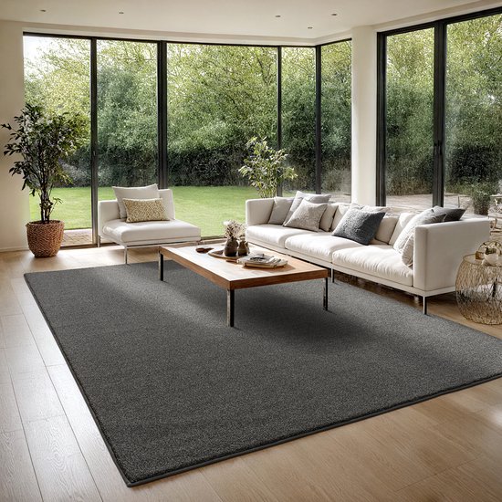 Foto: The carpet turin elegant woonkamer vloerkleed zacht en gemakkelijk schoon te maken dichte pool vilten rug grey 160 x 220 cm