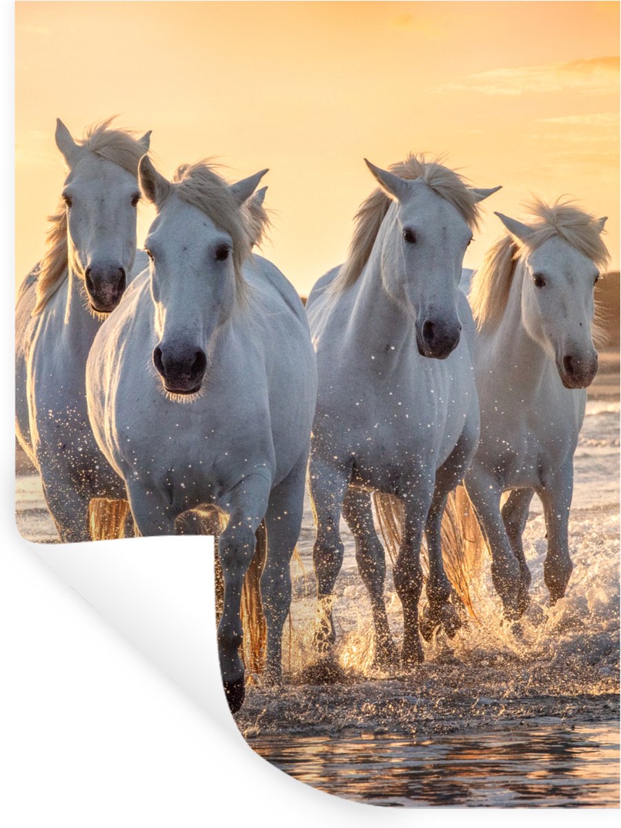 Muurstickers - Sticker Folie - Paarden - Water - Strand - Dieren - 30x40 cm - Plakfolie - 