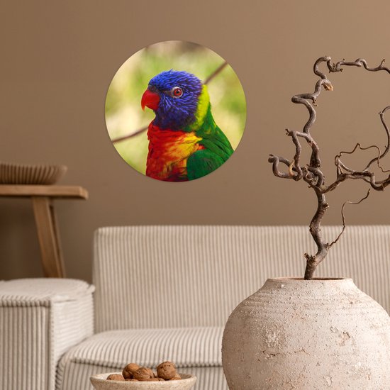 WallCircle® - Papier peint cercle 30x30 cm - Stickers muraux Vogel - Perruche - Blauw - Cercle mural salon - Cercle mural chambre - Décoration de chambre autocollante - Accessoires de Décoration murale