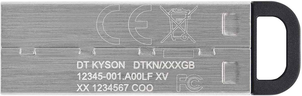 Kingston DataTraveler Kyson 256GB