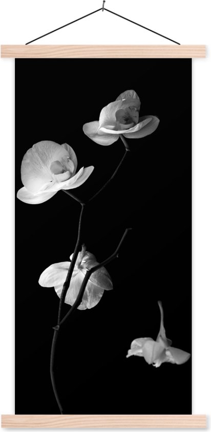 Support pour affiche avec affiche 90x180 cm - Affiche scolaire - Orchidée - Fleurs - Zwart - Wit - Nature morte - Affiche textile - Lattes vierges