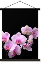 Posterhanger incl. Poster 60x80 cm - Schoolplaat - Orchidee - Bloemen - Roze - Flora - Textielposter - Zwarte latten