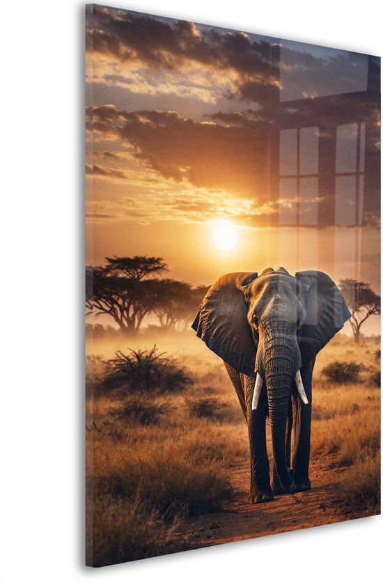Glasschilderij Olifant in Afrika - 60 x 40 cm - Savanne - Zonsondergang - Acrylaat - Inclusief wandbevestiging - Foto op plexiglas - Wanddecoratie woonkamer - Dieren - Natuur – Wallpaper – Olifanten