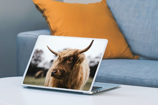 Autocollant pour ordinateur portable - 10,1 pouces - Highlander écossais - Animaux - Cornes - 25x18cm - Autocollants pour ordinateur portable - Peau pour ordinateur portable - Couverture