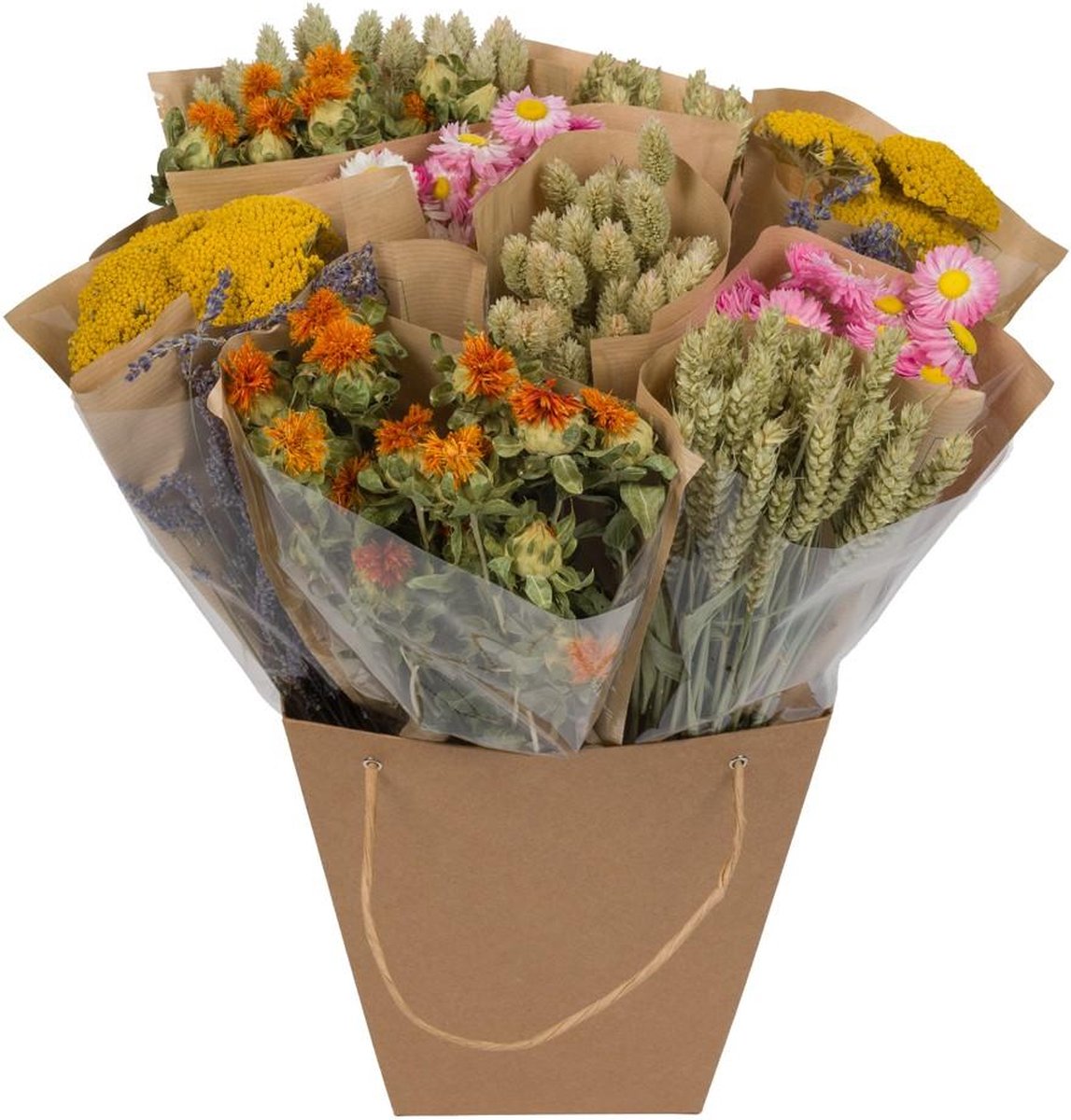 Green Harmony | Dried Mono Mix - Dutch - 50cm