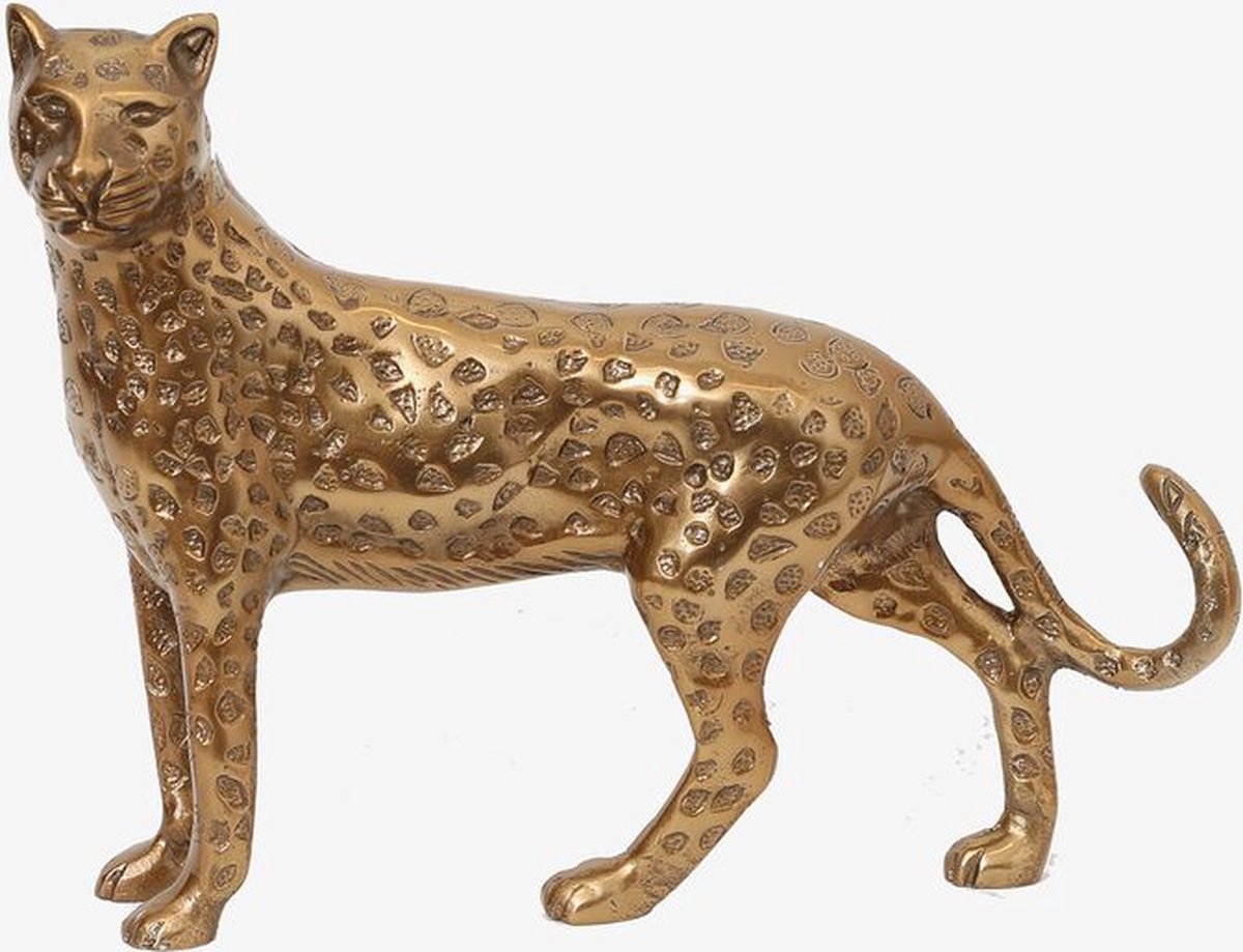 Sissy-Boy - Goudkleurige leopard