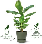 Elho Greenville Rond 25 - Bloempot voor Buiten met Waterreservoir - 100% Gerecycled Plastic - Ø 24.5 x H 23.3 cm - Goudkleurig zand