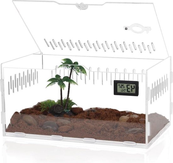2 Mini Terrarium Set, Acryl Terrarium, Faunabox Für Spinnen Und